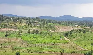 Hot Sale Plots at Kakiri Gobero-Wakiso on Termac