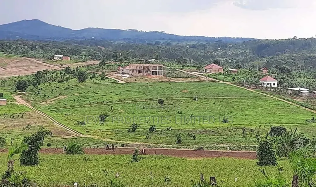 Hot Sale Plots at Kakiri Gobero-Wakiso on Termac