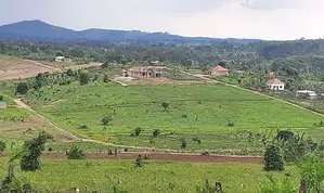 Hot Sale Plots at Kakiri Gobero-Wakiso on Termac