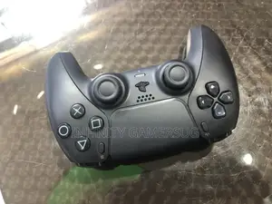 PS5 Controllers