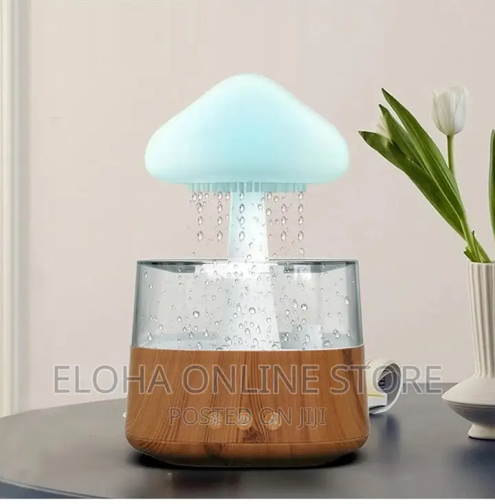 Rain Drop Humidifier, Mushroom Humidity 4 in 1