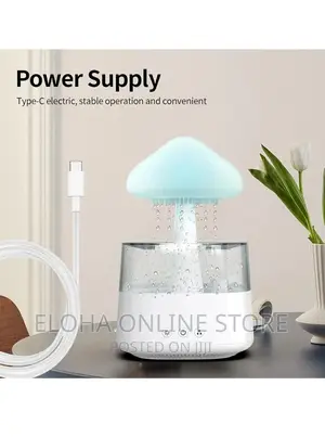 Rain Drop Humidifier, Mushroom Humidity 4 in 1