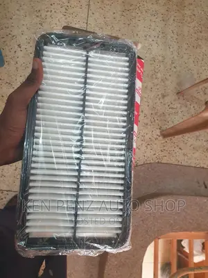 Air Filters Premio Ordinary