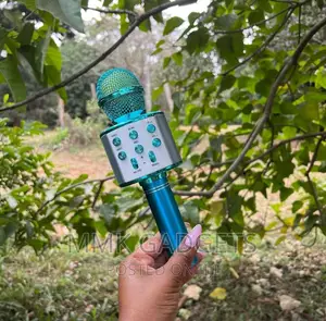 Karaoke Microphone