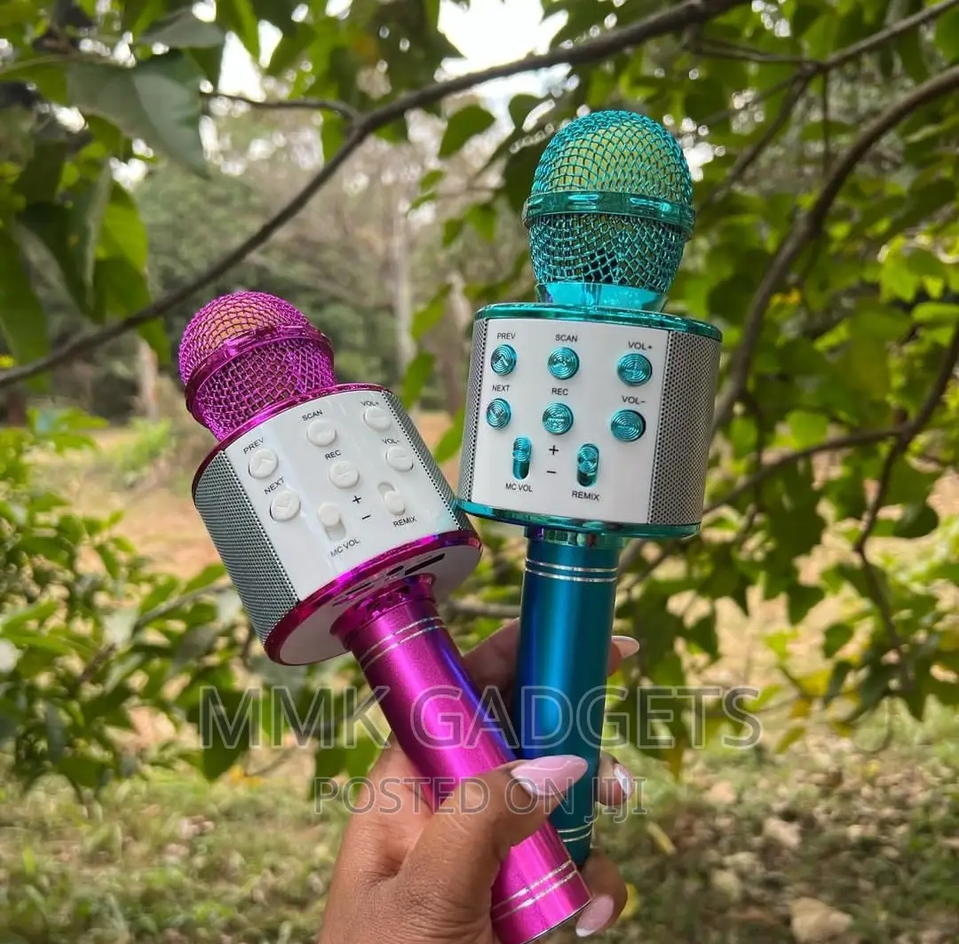 Karaoke Microphone