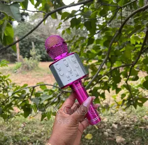 Karaoke Microphone