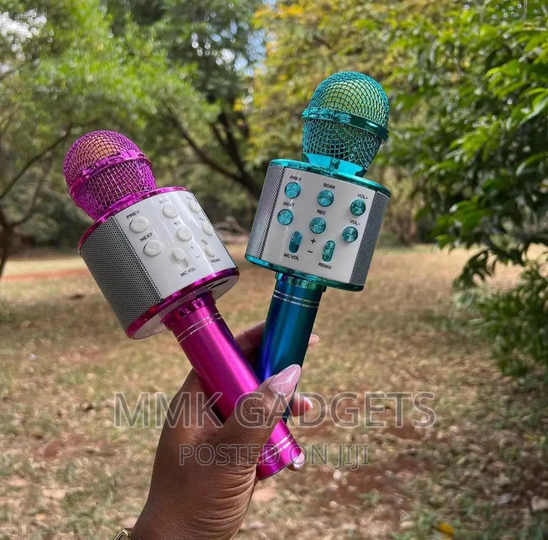 Karaoke Microphone