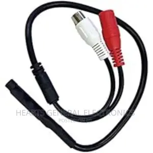 DVR Microphone / Audio Pickers