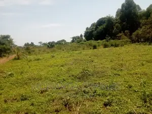 4acres of Land for Sale in Garuga