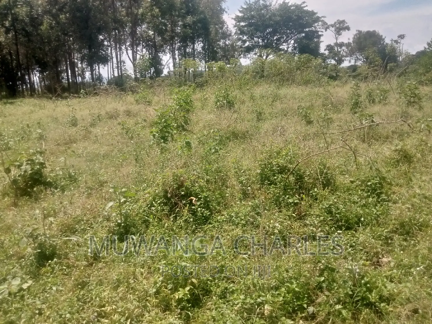 4acres of Land for Sale in Garuga