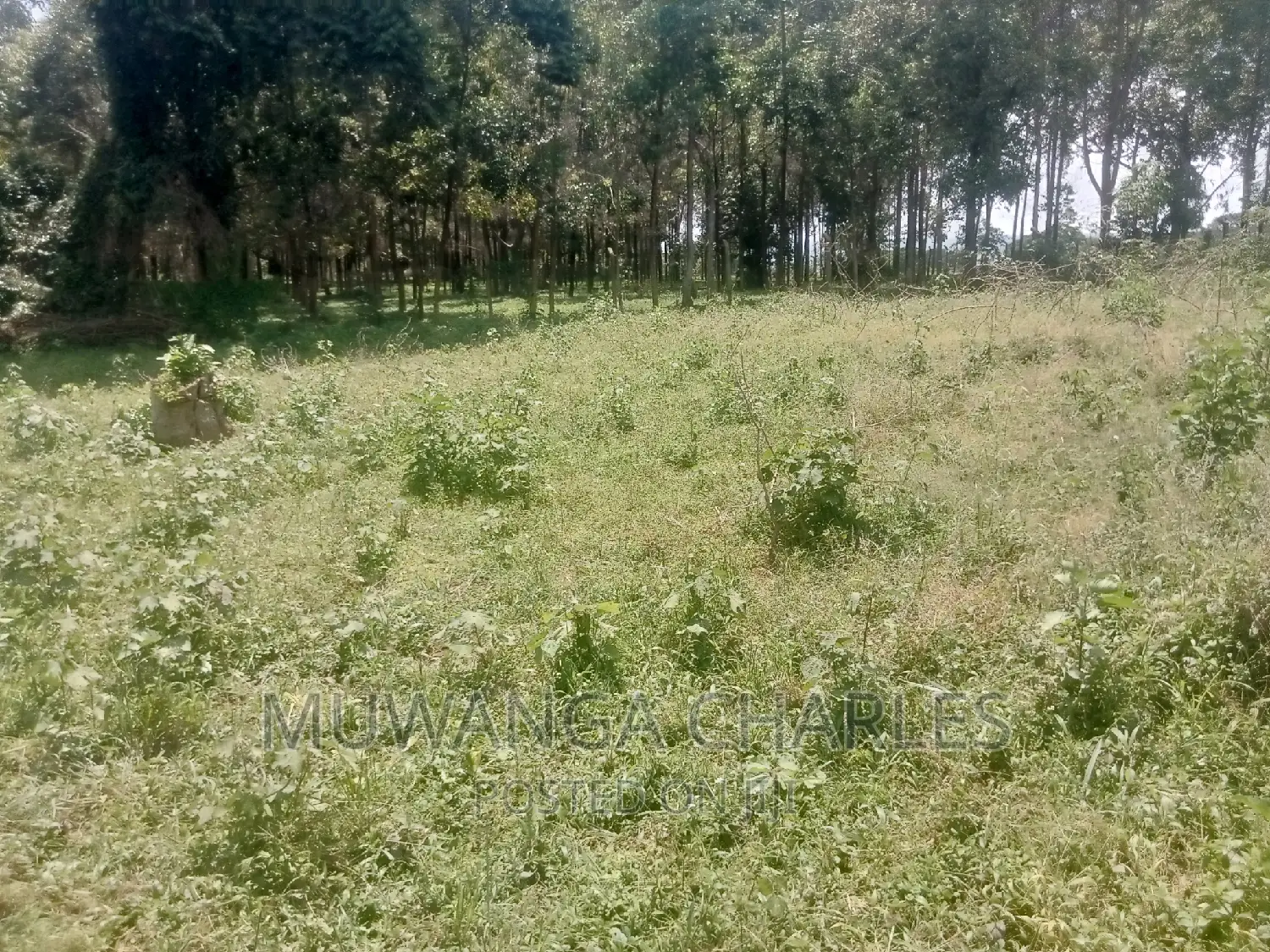 4acres of Land for Sale in Garuga