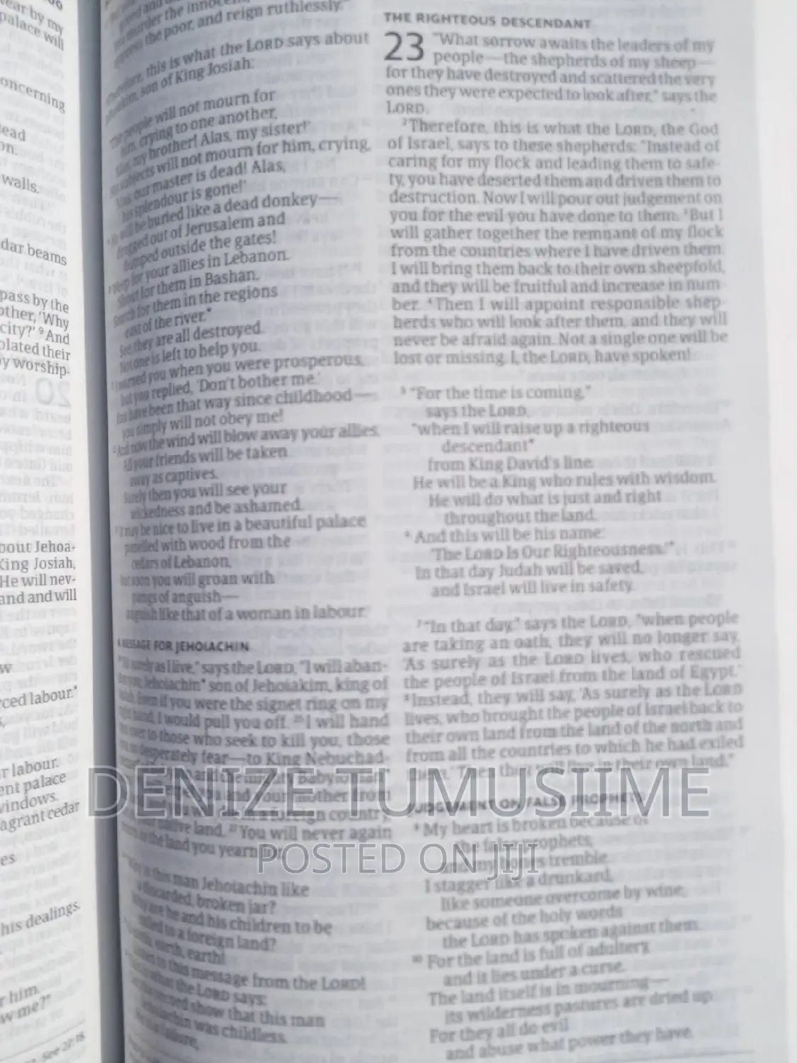 New Living Translation Bible