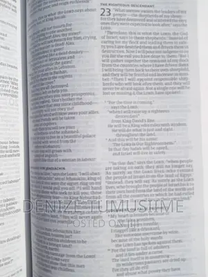 New Living Translation Bible