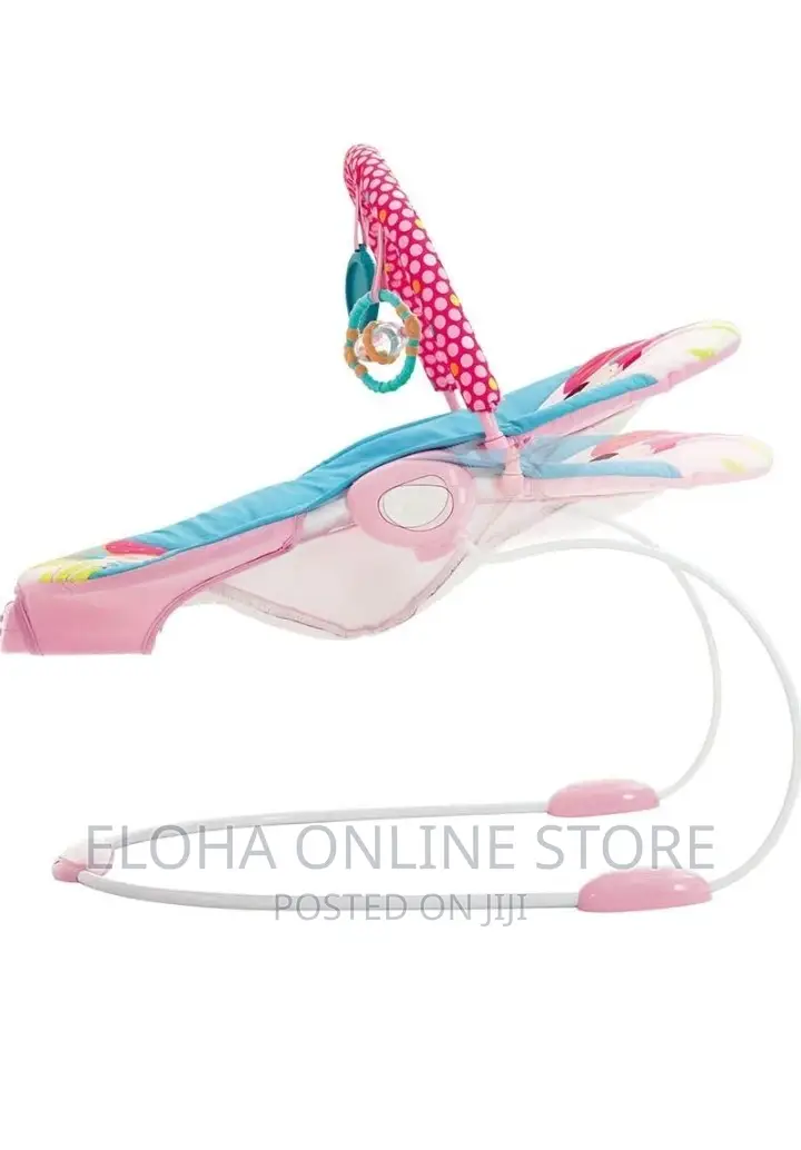 Mastela Vibrations and Musical Baby Bouncer Rocker