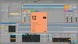 Ableton Live 12 Suite vwgさま Ableton Live 12 Suite at Gear4music