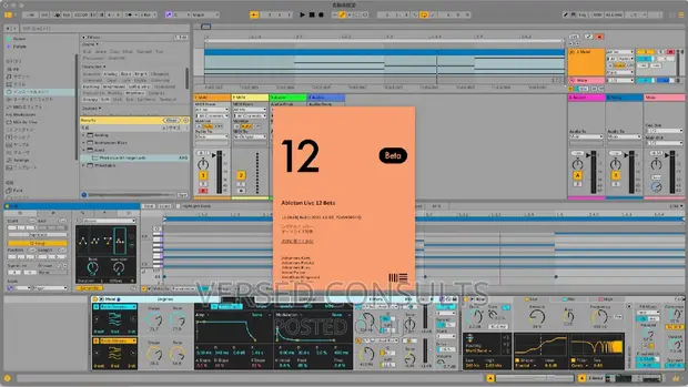 Ableton Live 12 Suite vwgさま Ableton Live 12 Suite, UPG from Live Lite
