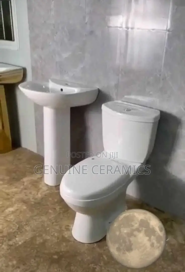 S-Trap Toilet