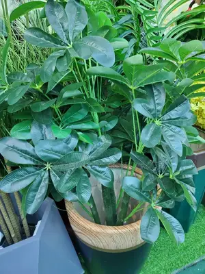 Artificial Plants and Flowers
