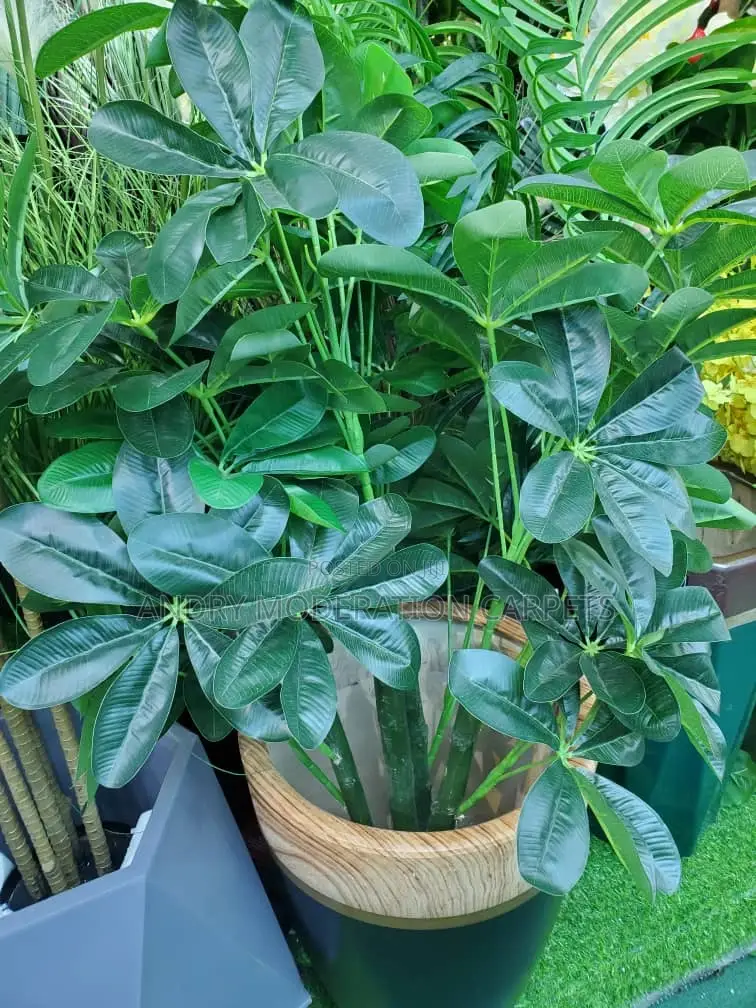 Artificial Plants and Flowers