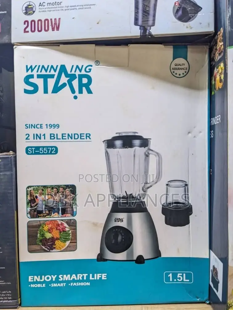 Wining Star Strong Electric Blender
