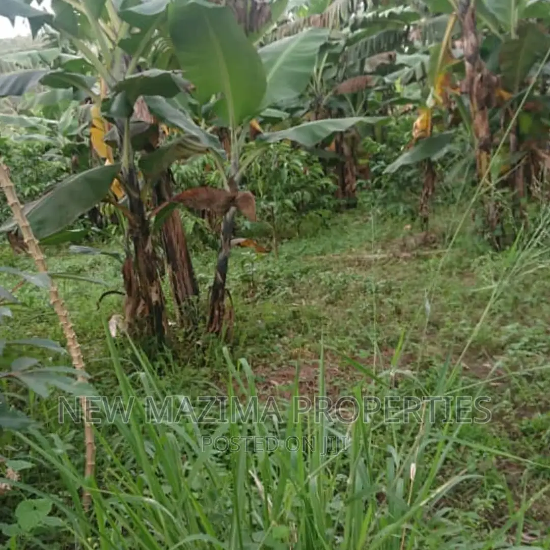 17 Decimals Quicksale in Heart of Rubaga Division Bunamwaya