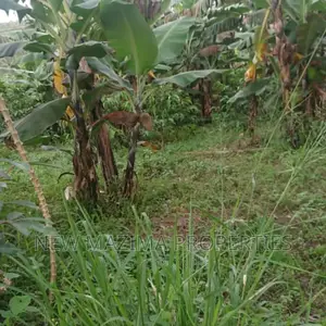 17 Decimals Quicksale in Heart of Rubaga Division Bunamwaya