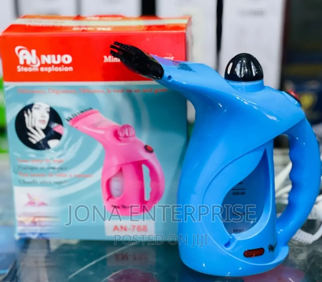 Mini Garment Steamer