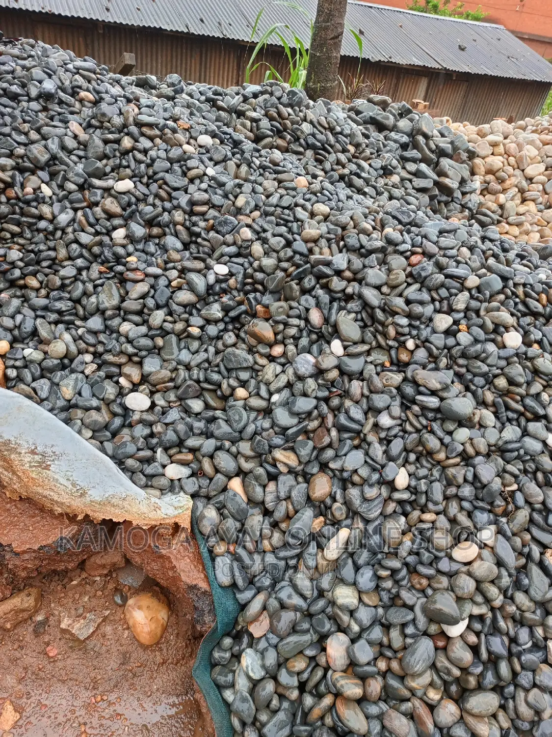 Black Pebbles/ White and Black Lake Stones