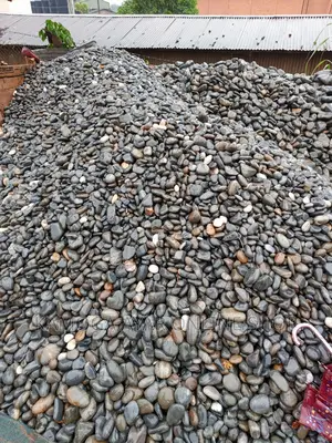 Black and White Stones/Garden Stones