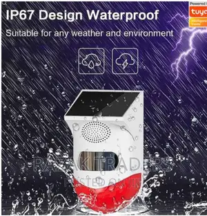 Solar Alarm Light With Motion Detector, Waterproof/Out Door