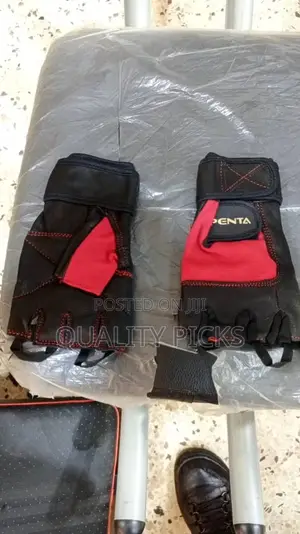 Riding Gloves