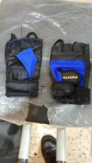 Riding Gloves