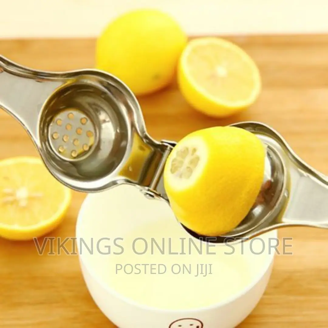Stainless Steel Hand Citrus Juicer – Silver