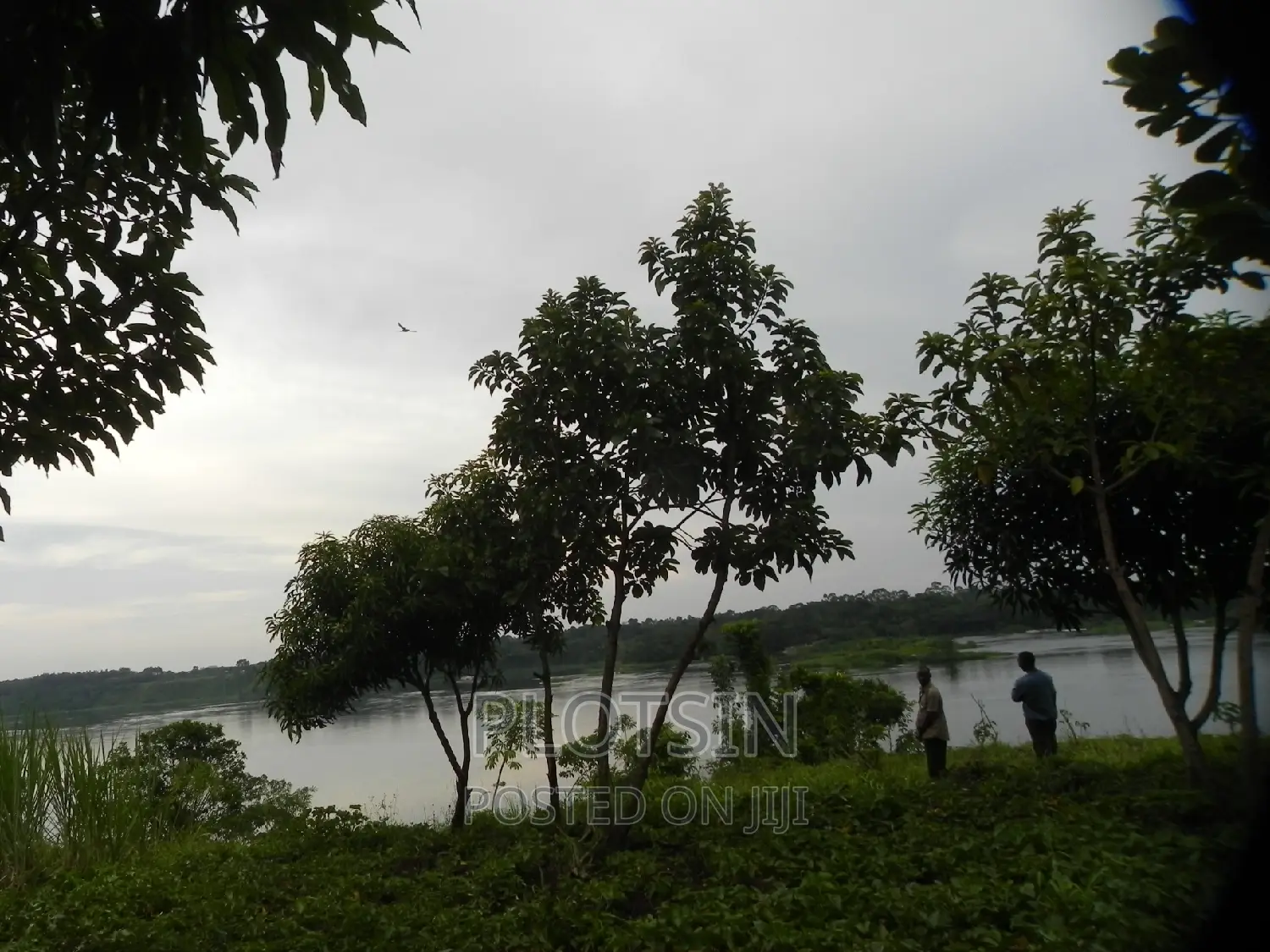 3 Acres on Busowoko Water Falls, River Nile