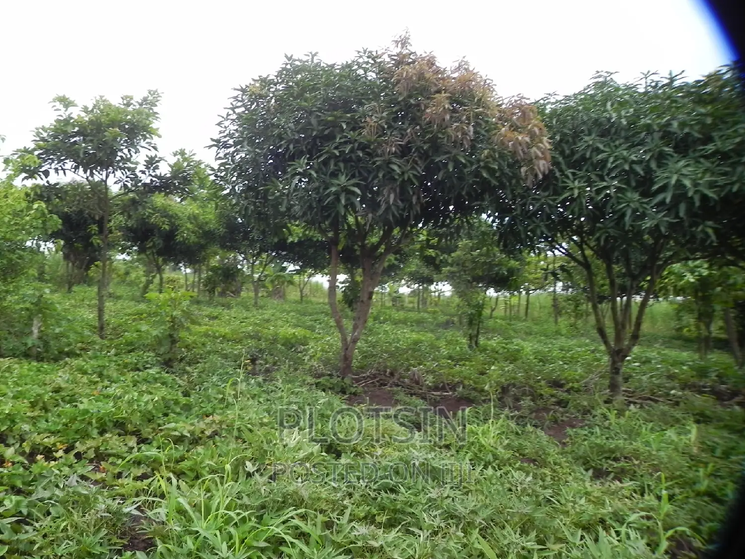 3 Acres on Busowoko Water Falls, River Nile