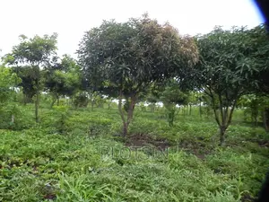 3 Acres on Busowoko Water Falls, River Nile