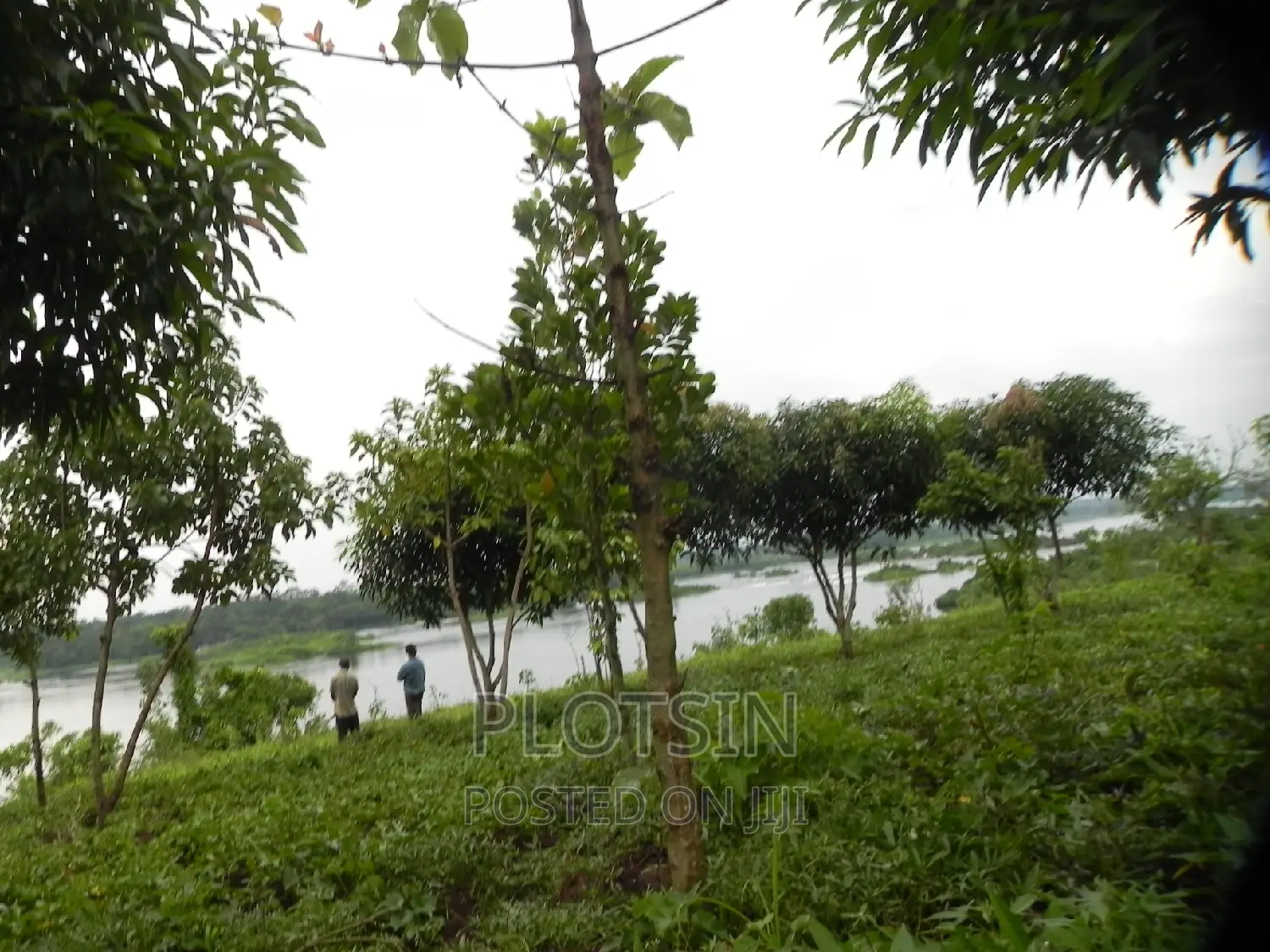 3 Acres on Busowoko Water Falls, River Nile