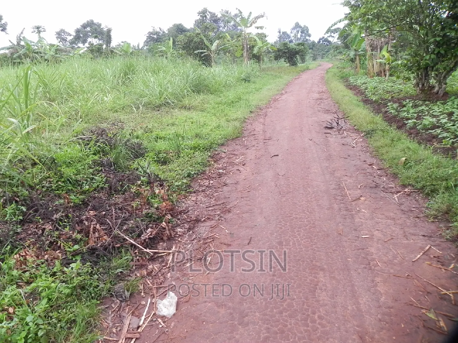 3 Acres on Busowoko Water Falls, River Nile