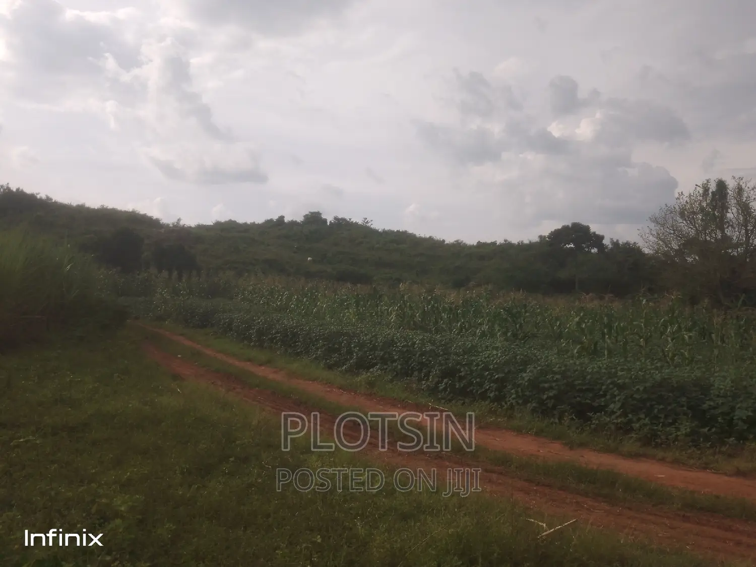 14 Acres,Jinja District Muguluka in Jinja Land & Plots for Sale, Plotsin Jinjacity Jiji.ug