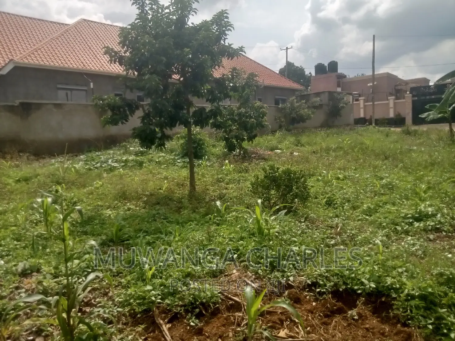 50decimals Commercial Land for Sale in Komamboga Kyanja