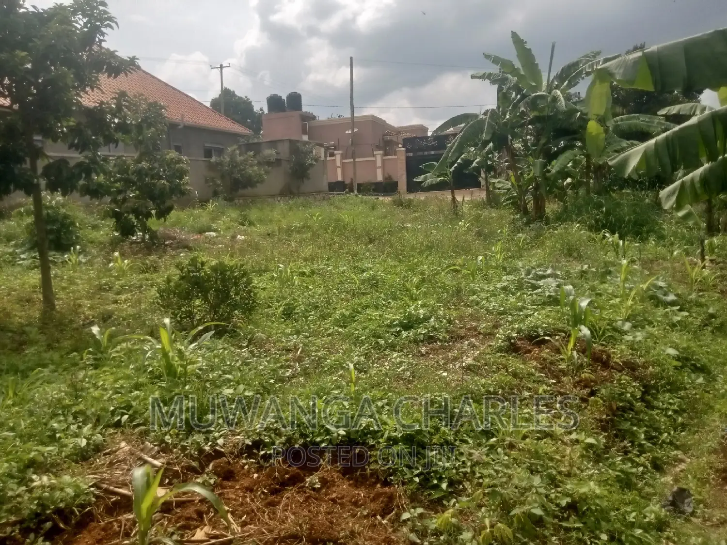 50decimals Commercial Land for Sale in Komamboga Kyanja