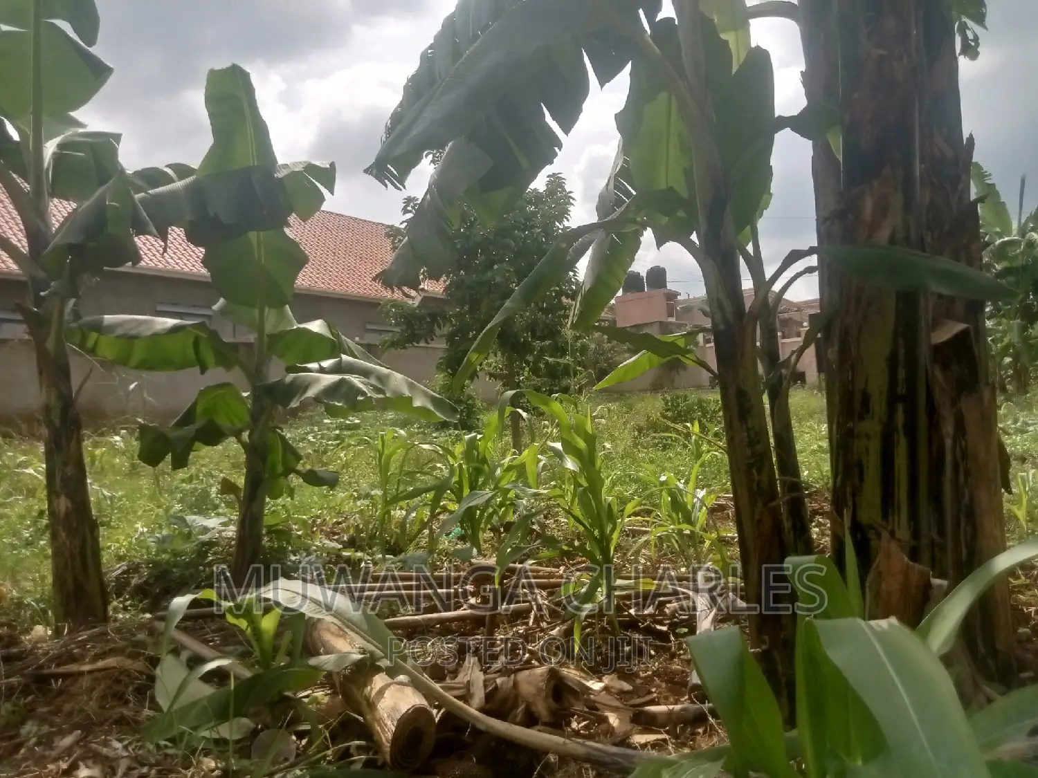 50decimals Commercial Land for Sale in Komamboga Kyanja