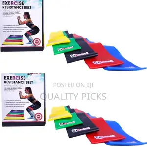 Exercise Gym Belt