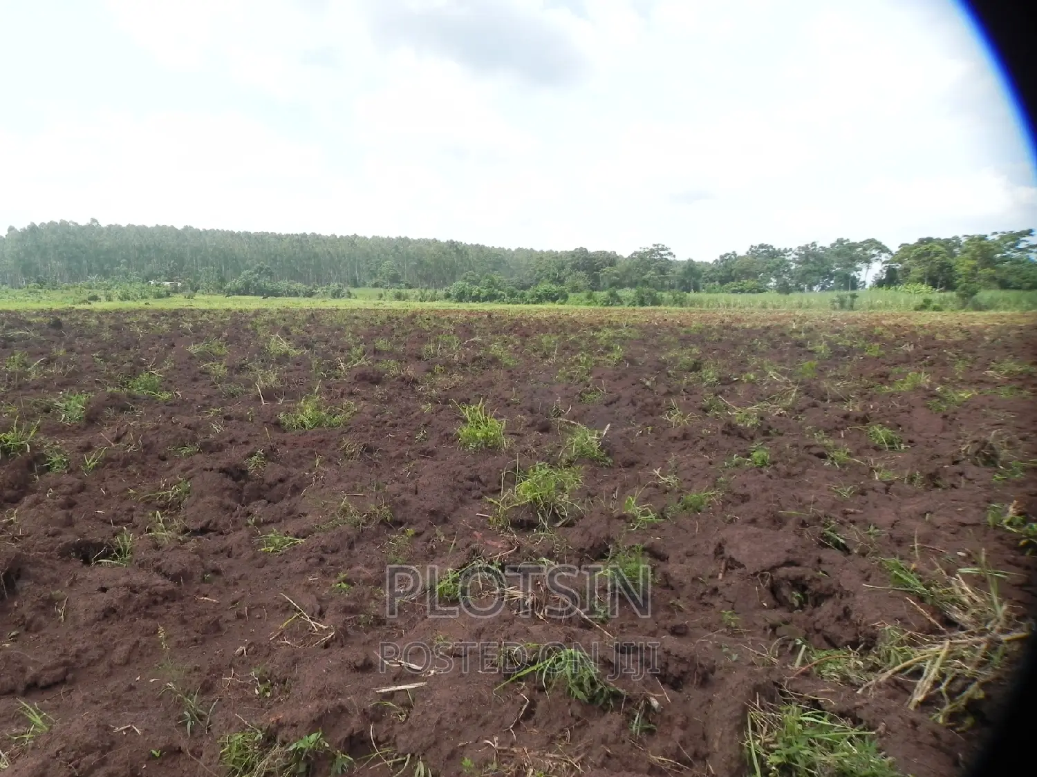 9 Acres of Land, Busowoko Jinja District in Jinja Land & Plots for