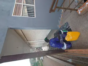 Good Stone Cleaning and Painting Services