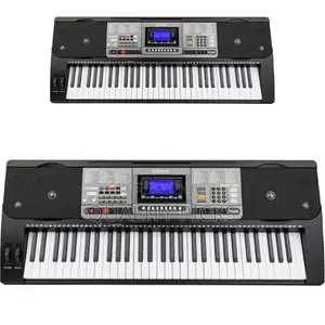 Professional Electric Keyboard