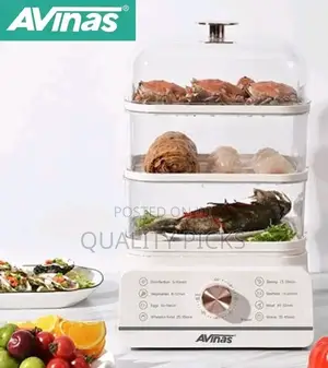 Electric Food Steamer