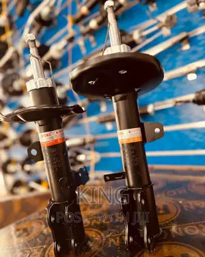 Photo - Kruger Brand New Shocks