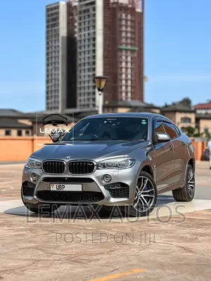 Photo - BMW X6 2015 Silver