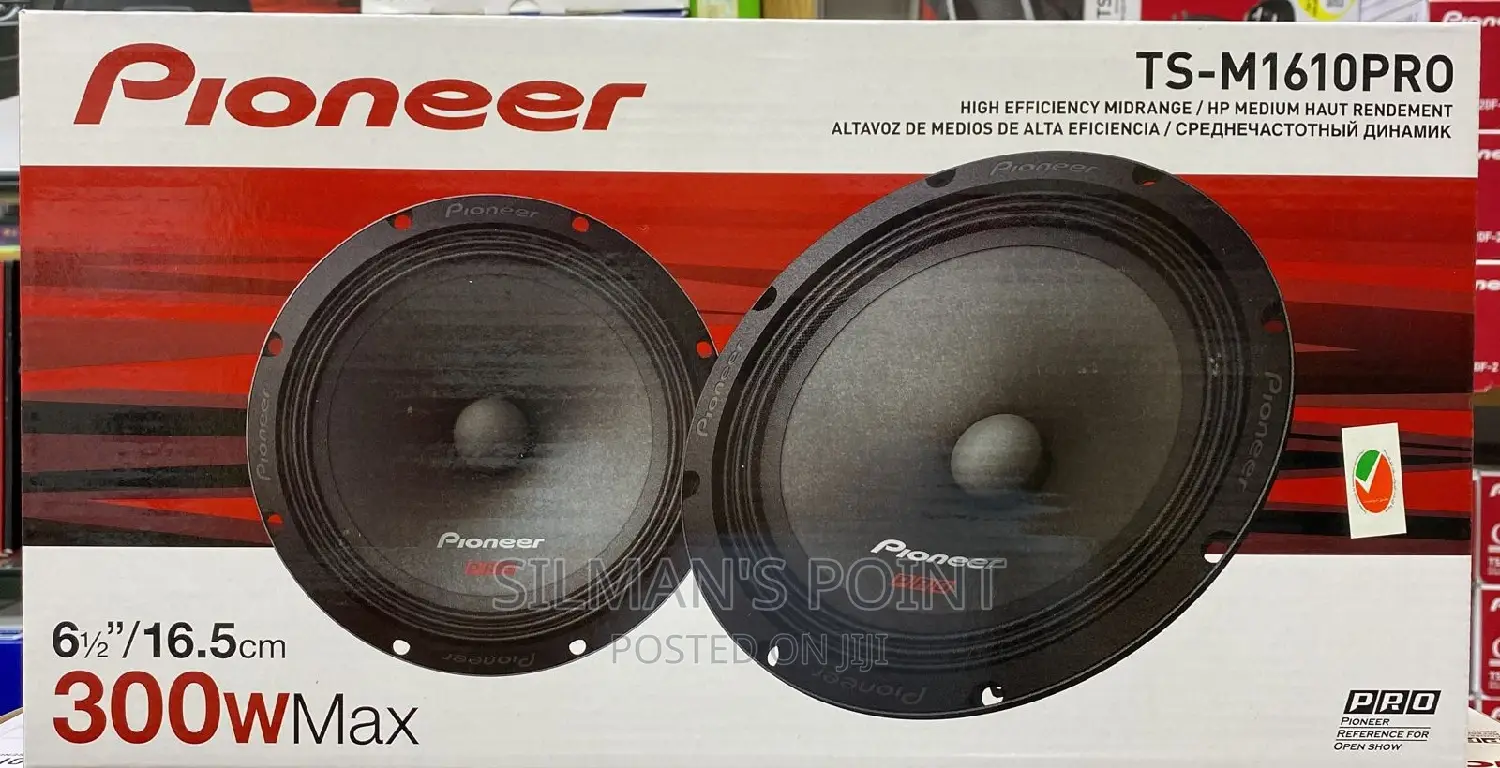 Pioneer Ts-M1610pro Car Door Speakers